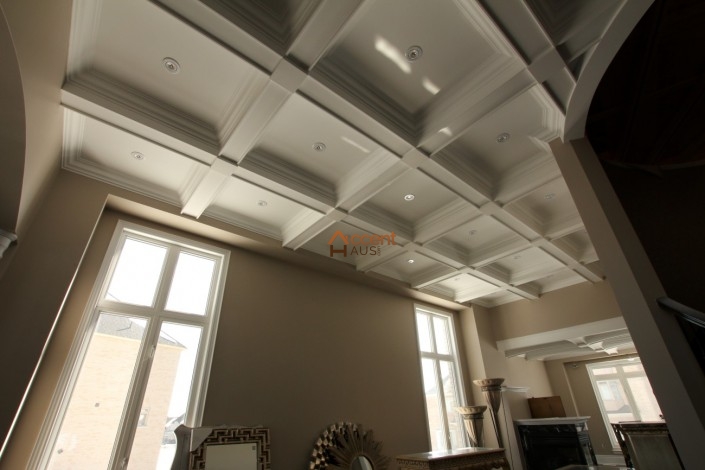 Box patterned waffle ceiling in a living room