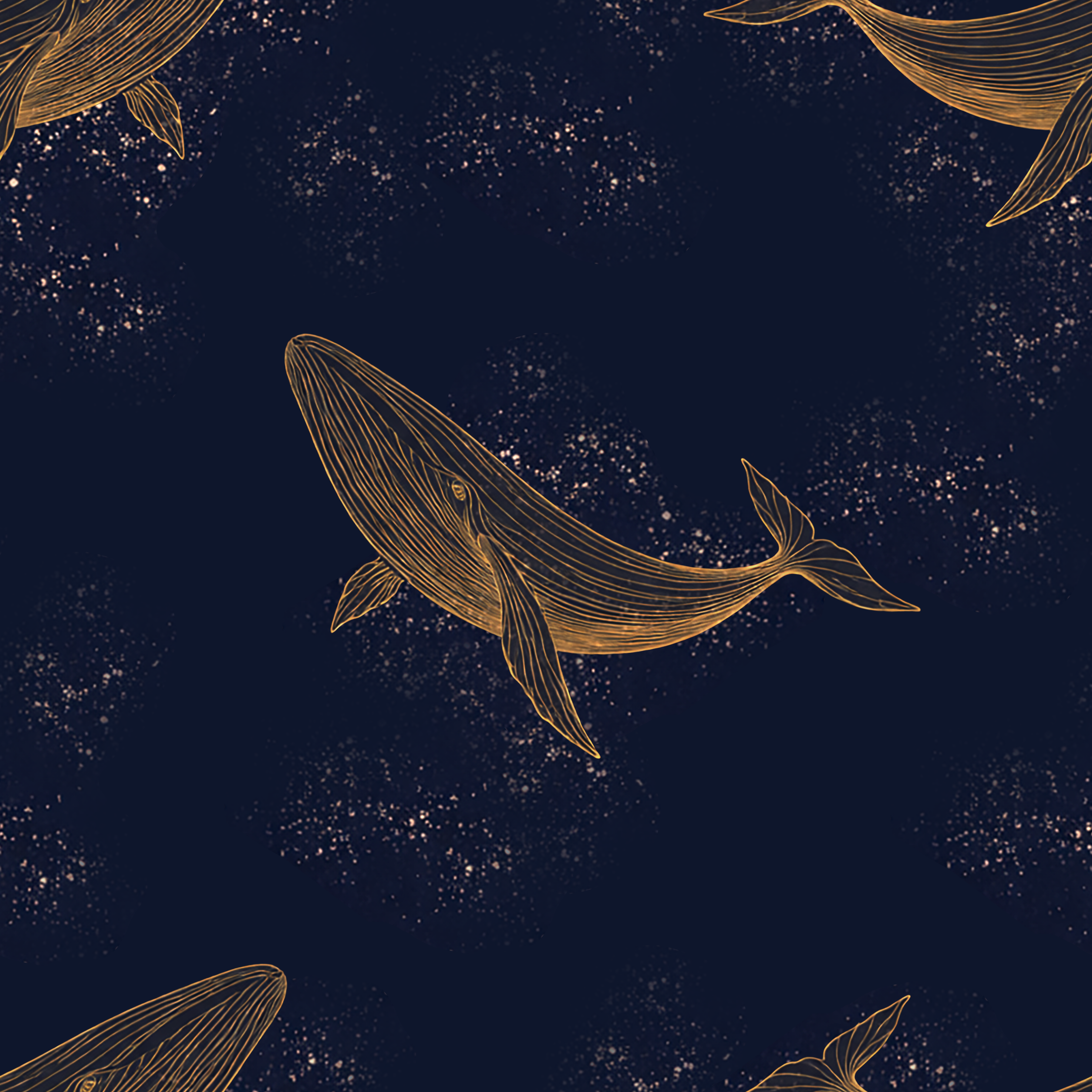 Midnight Whales Wallpaper